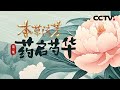 白芍和赤芍有何不同 揭开芍药 一种植物两味药 的神奇之谜 本草流芳 第3集 药启芍华 CCTV 本草流芳 白芍和赤芍有何不同 揭开芍药 一种植物两味药 的神奇之谜 本草流芳 第3集 药启芍华 CCTV 本草流芳