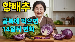 “양배추, 위 건강 끝판왕! 하루 한 장으로 달라지는 몸”