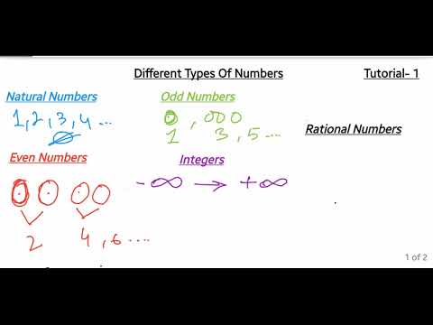 Different Types Of