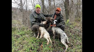 Caccia alla beccaccia 2022: due amici nel bosco / Woodcock Hunting