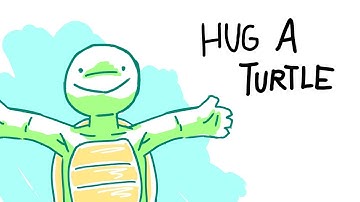 Hug a turtle 🐢 (Original meme)