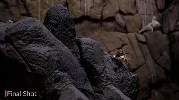 2nd Year VFX Creature Project | Ekaterina Boteva