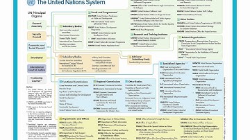 POS 273 Lecture 8: International Organizations & Law