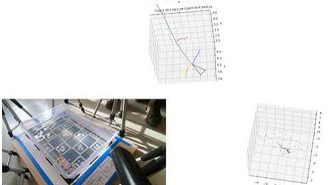 Axolotl Markerless Motion Capture