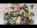 【成人式におすすめ！】振袖帯結び 66 すみれ結び 短冊ひだアレンジ 横もの この結びは応用ができる！