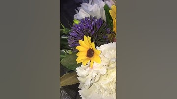 سورة الفاتحة بصوت القارئ الشيخ مشاري راشد