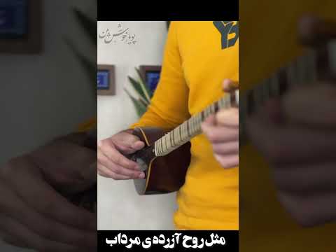 مرغ شب
