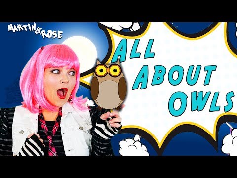 owls-|-learn-about-these-nocturnal-birds-of-prey-through-"the-owl-song"