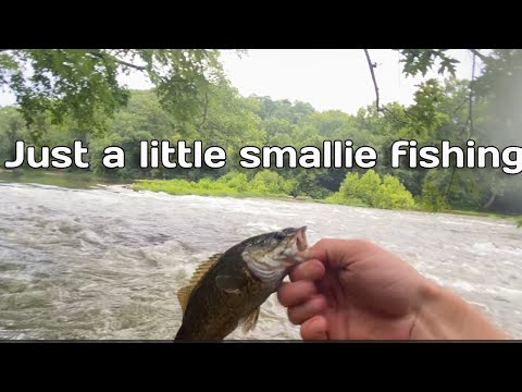 Smallmouth Bass Fishing.