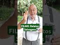 Filmão | Relatos Selvagens