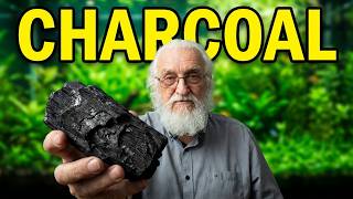 Carbon! How to Use it.