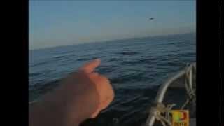 UFO Footage - Music = 'Oh my Soul' by Pablo Manali