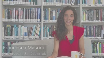 Homing in on the role of chromatin organization in gene regulation