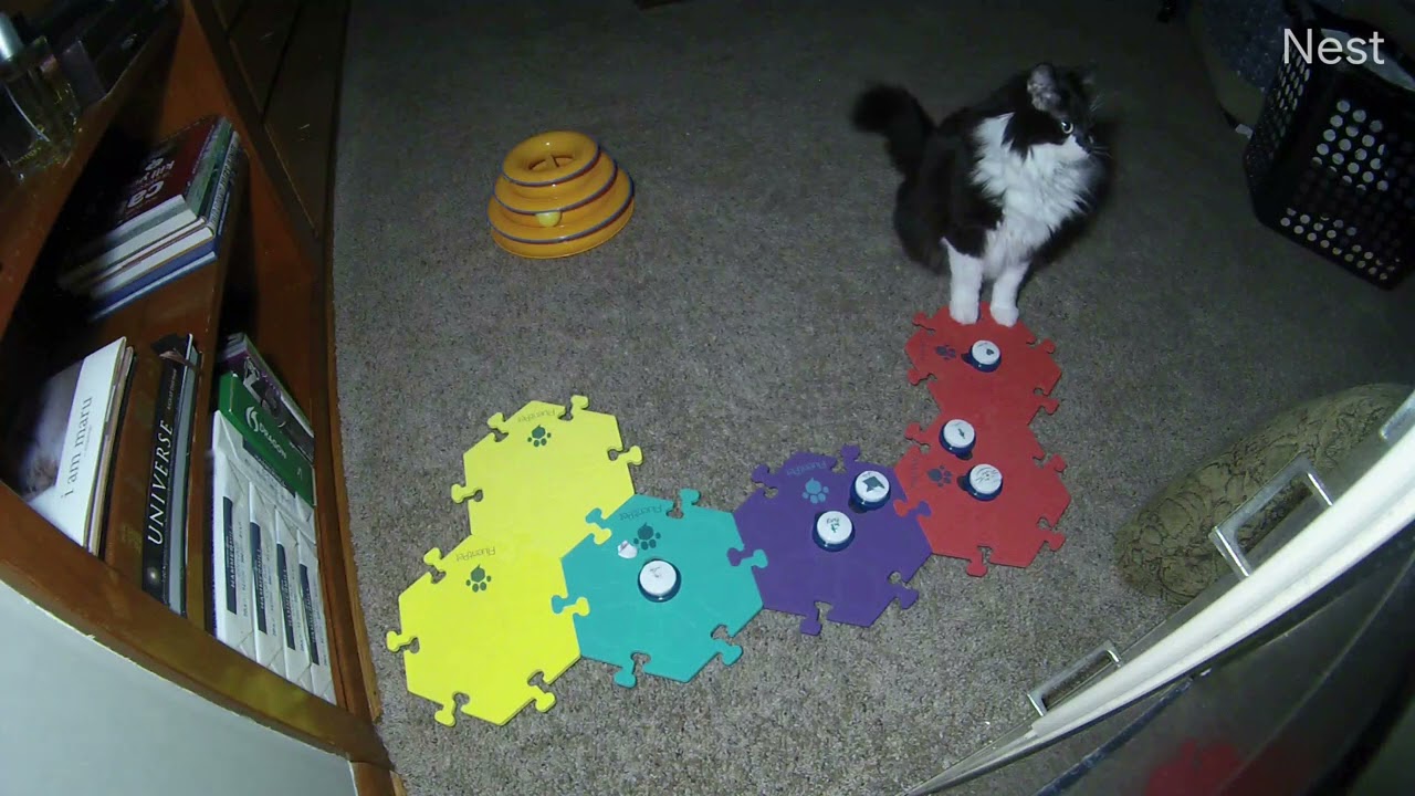 Wait Don't Go, I Love You - YouTube