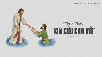 🔴 Trực Tiếp | 08/08/2020 | Thánh Lễ Chúa Nhật XIX TNA