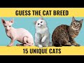 Cat Quiz - Guess the Cat Breed - 15 picture quiz questions