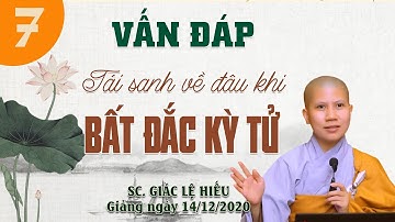 Vấn đáp: Tái sanh về đâu khi BẤT ĐẮC KỲ TỬ - SC. Giác Lệ Hiếu