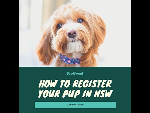 How to register a new pet in NSW - for all new puppy OWNERS