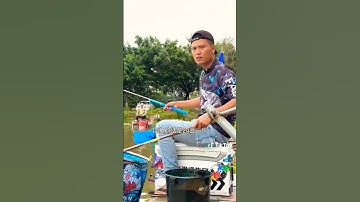 Câu Rô Phi Cẩu Gạt tốc Độ của Cần Thủ TQ Phê Tới Nấc #camgiac #caucadichvu #caucaphi #caucagiaitri