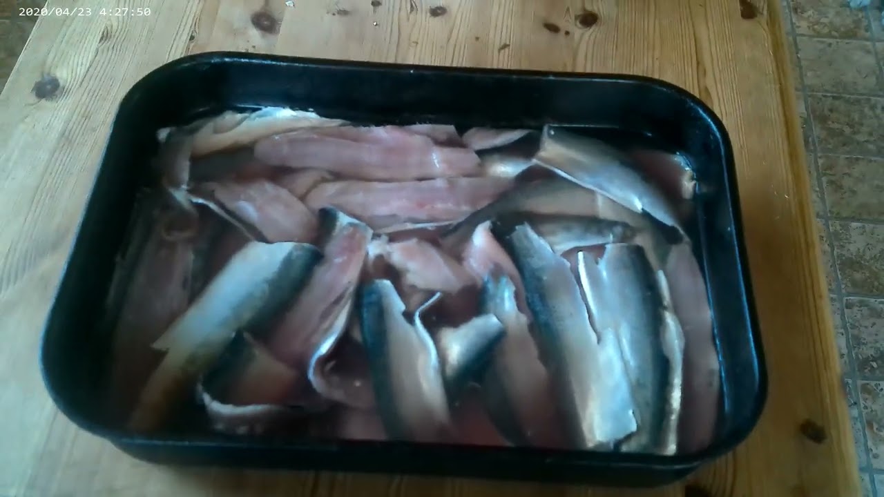 Herring drifting on the colne guardian, sousing the catch at home