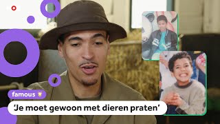 Wildebras Over Spugende Geiten En 21 Huisdieren