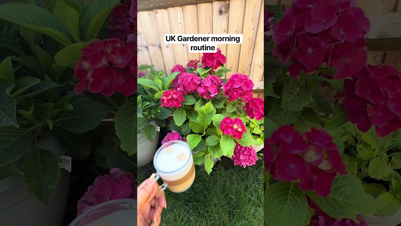 UK gardener morning routine