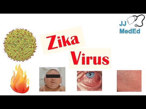 Video: Kur Zika Virus atnāca no un ko tā dara jūsu ķermenī?