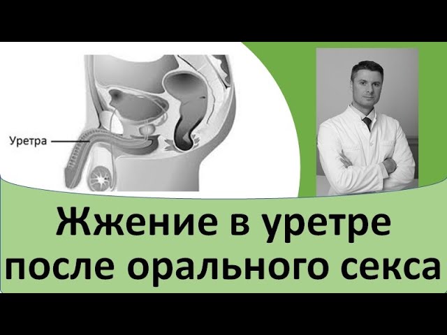Боль члена во время и после полового акта - нормально ли это? Боль члена во время и после полового акта - нормально ли это?