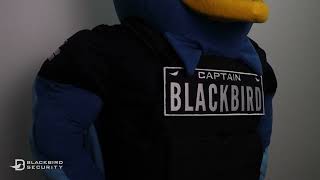 Blackbird Security - Meet Captain Blackbird!