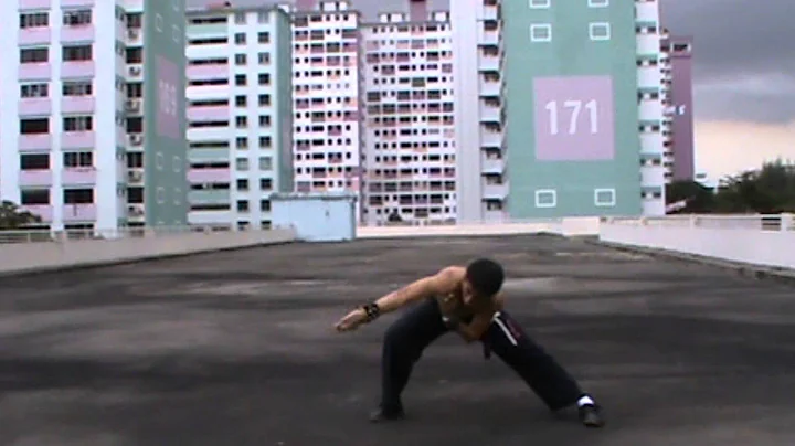 Hung Gar "Gong" Character Taming The Tiger Fist Manual/Lam Sai Wing (洪家) 工字伏虎拳/林世榮著