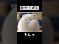 救世主現る #shorts #猫アニメ #猫