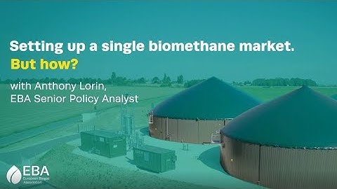 Setting up a single biomethane market. How?