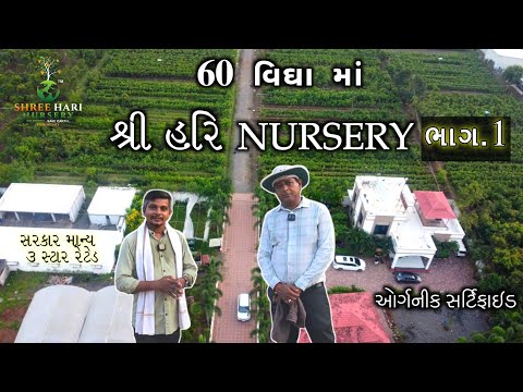 60 વીઘા માં શ્રી હરિ નર્સરી ભાગ.1| Mango Nursery | Shri Hari mango nursery | @shreeharinursery2570