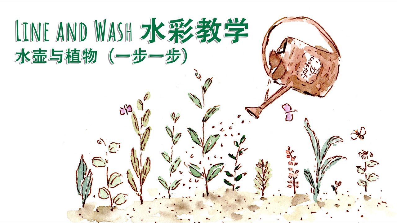 Line and Wash 水彩教学｜褐色针管笔画复古浇水壶与植物（一步一步）