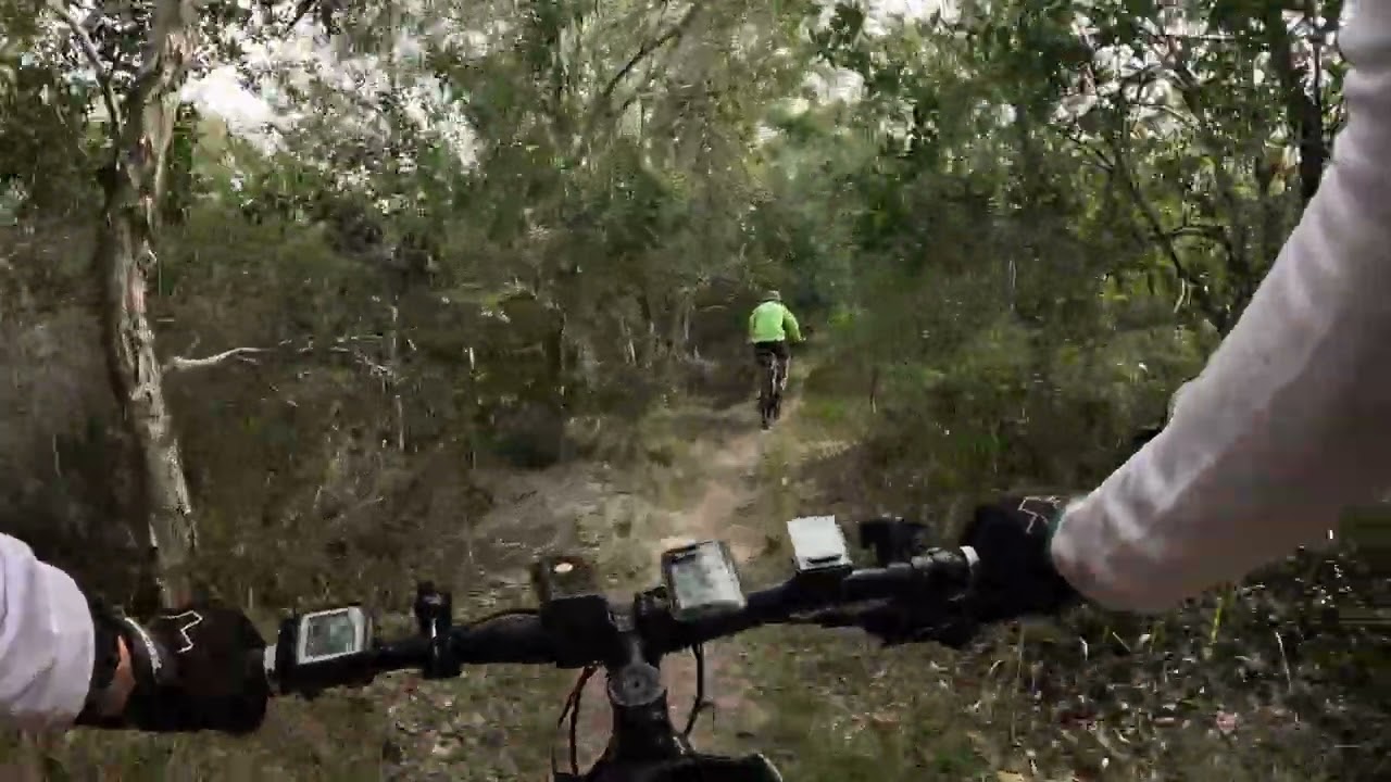 South Golden Beach to Wooyung Coastal Track