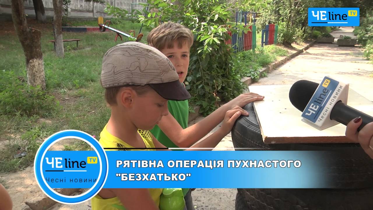 Сочинение на тему я никогда не забуду. Прочитать начало рассказа. План по спасению себя. Что такое содержание текста. Жучка огэ.