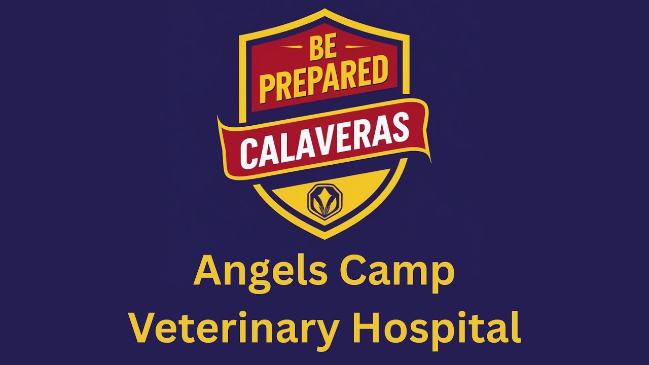 Be Prepared Calaveras: Angels Camp Veterinary Hospital