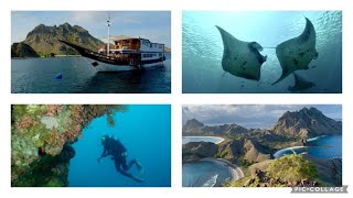 2024 Komodo Islands scuba diving on Komodo Sea Dragon liveaboard