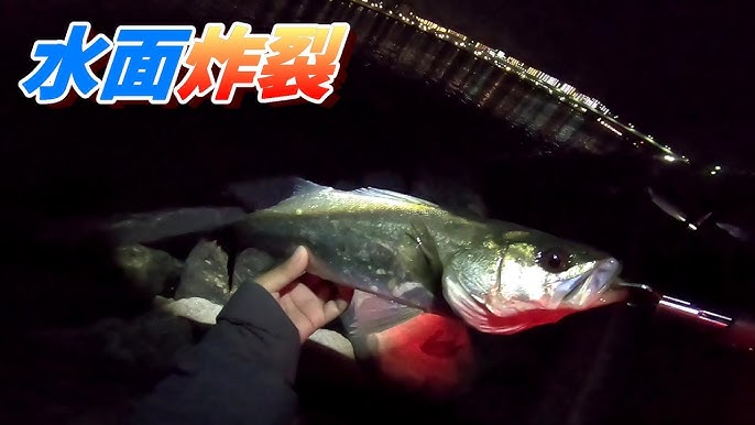 シーバスの捕食音に大興奮 Youtube