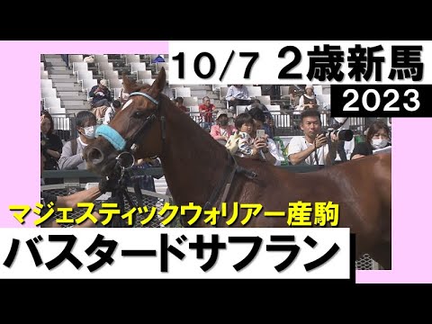 《2023年新馬》藤岡康太騎手「素直で真面目」６番人気バスタードサフランがデビュー勝ち！　実況：川島壮雄【カンテレ公式】