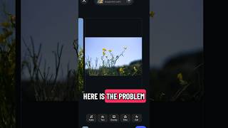 Day 11 growing Simple Border — stop Instagram from cropping your carousel photos