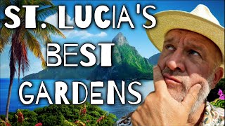 St. Lucia's best gardens to visit: Travel Guide