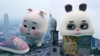 Thỏ Mập siêu dễ thương || Super cute fat rabbit | Part 70