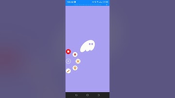 How to connect phantom wallet and verify your PAWS account
