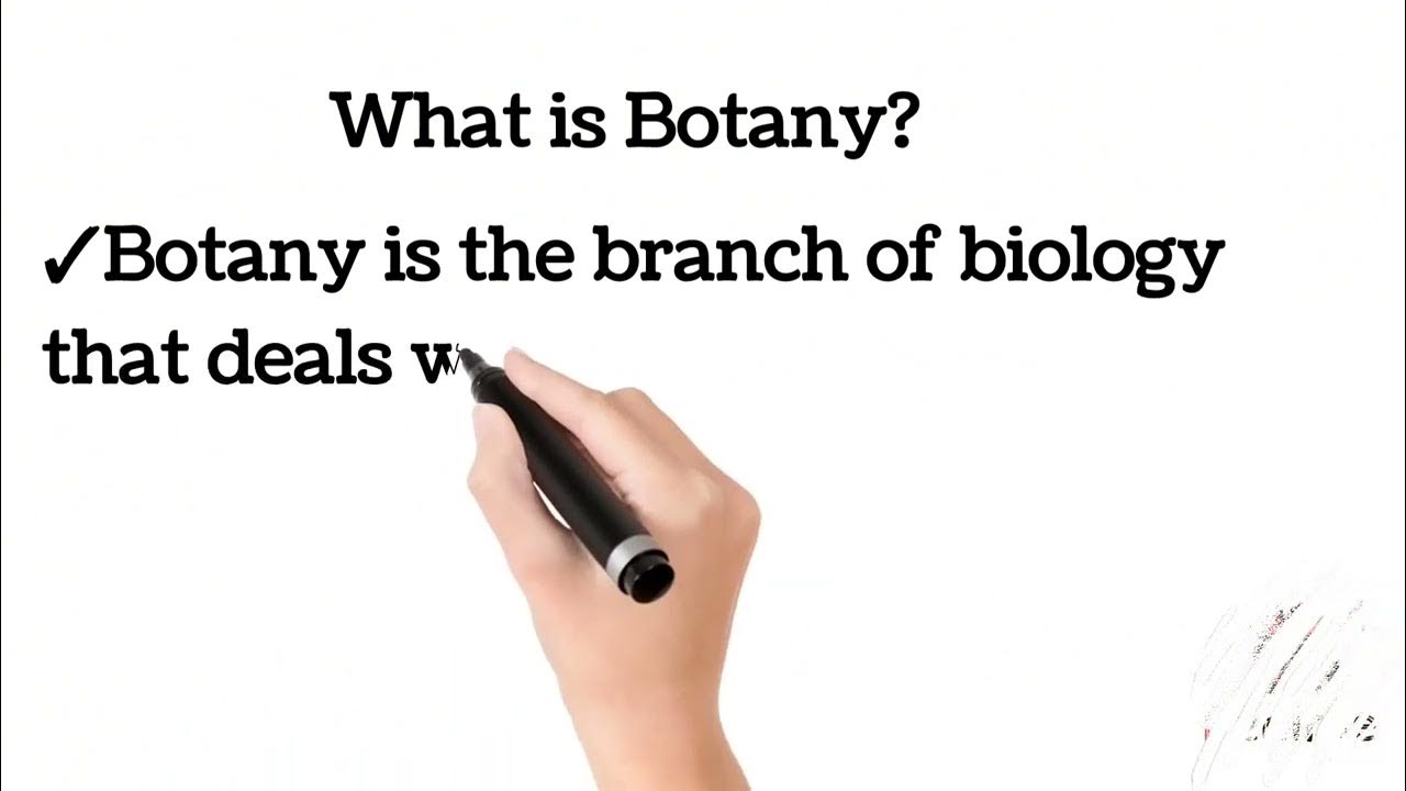 What Is Botany Definition Of Botany YouTube what-is-botany-definition-of-botany-youtube