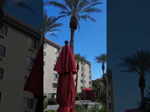 My First Trip to Pechanga Casino