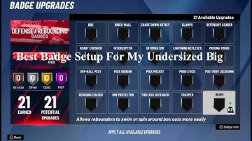 NBA 2k20 - My Badge Setup for 6