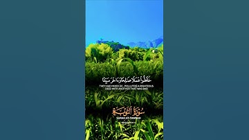 تلاوة خاشعة بصوت جميل ومؤثر #قران_كريم #قرآن #elmulquranعلم #المصحف #duet #trend #اكسبلور #لايك