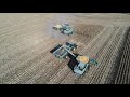 Iowa Corn Harvest 2019