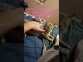I love my cats cats